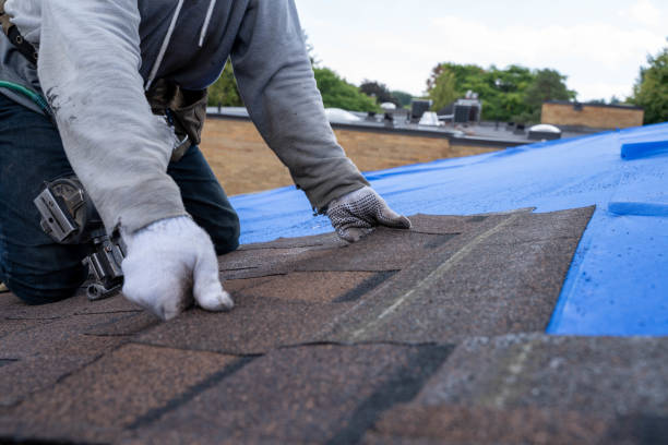 Roof Insulation in Cobden, IL