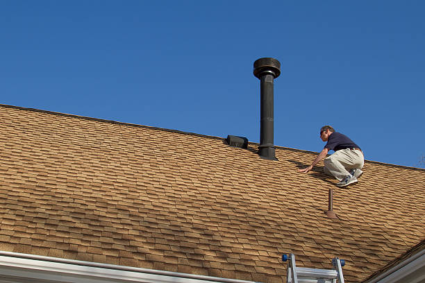 Best Roof Insulation Installation  in Cobden, IL
